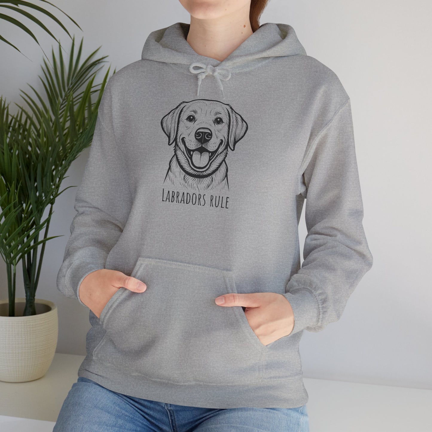 Person wearing a gray hoodie with a Labrador design and 'Labradors Rule' text, standing indoors.