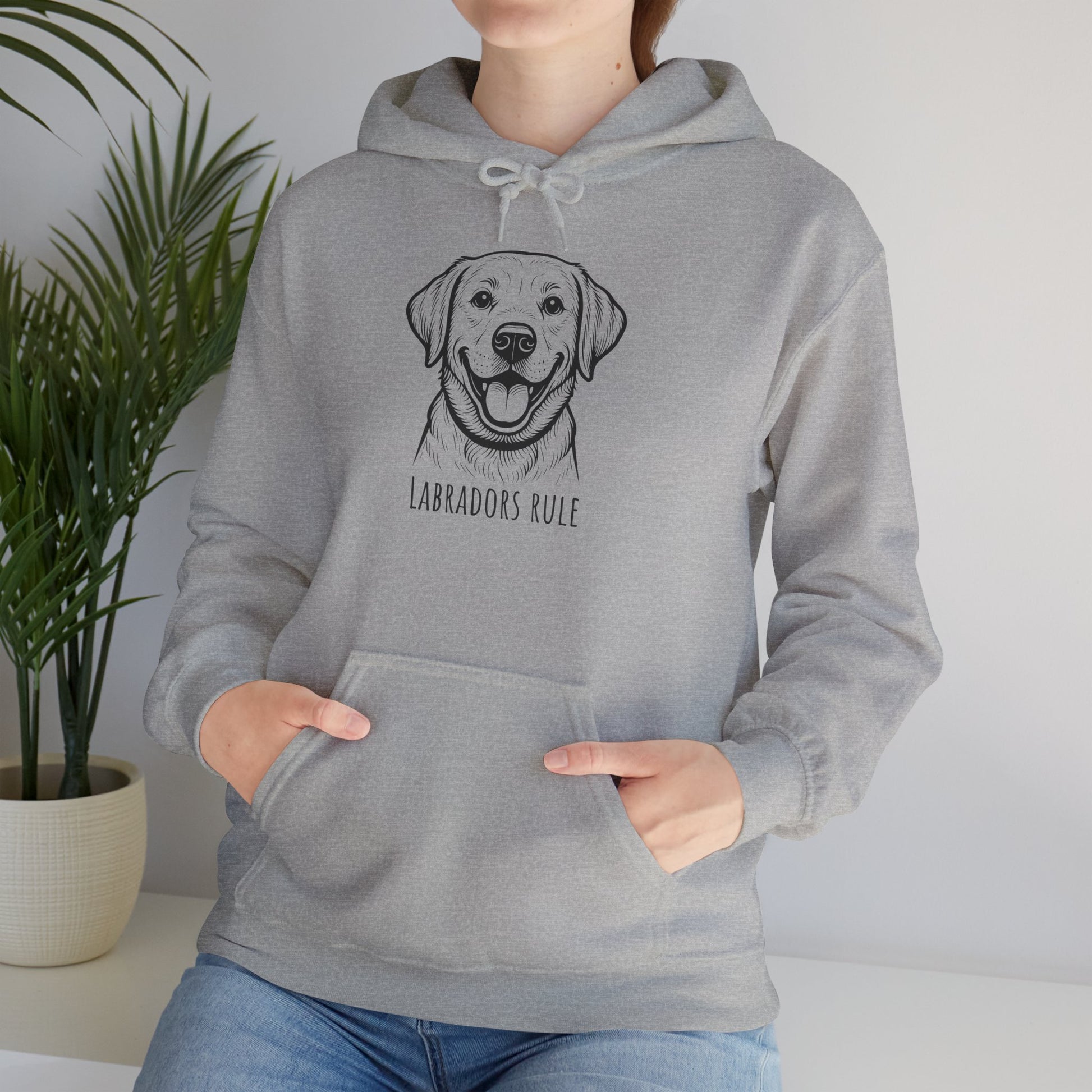 Person wearing a gray hoodie with a Labrador design and 'Labradors Rule' text, standing indoors.
