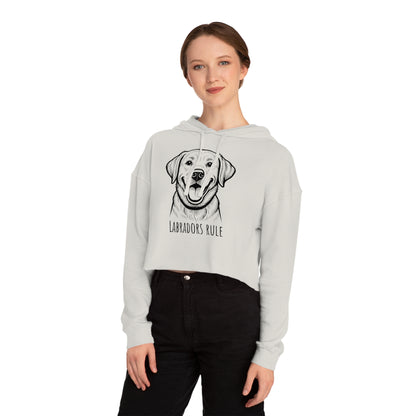 Person wearing a gray hoodie with a dog graphic and 'Labradors Rule' text on a white background