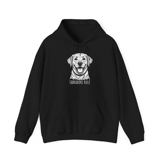 Black hoodie with a white labrador graphic and 'Labradors Rule' text on a white background