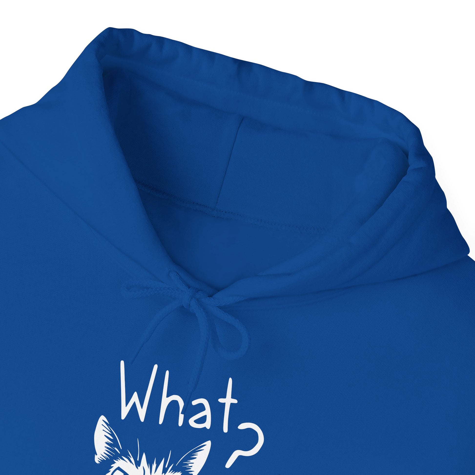 Blue hoodie with white text and graphic on a white background