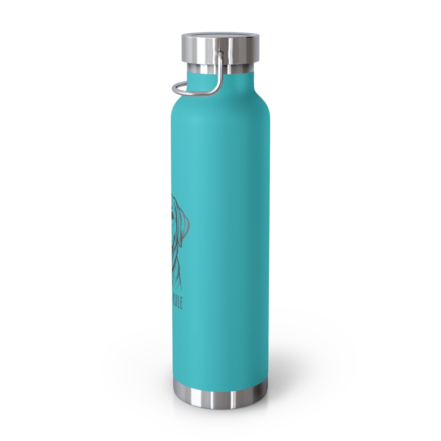 Turquoise water bottle with silver lid on a white background