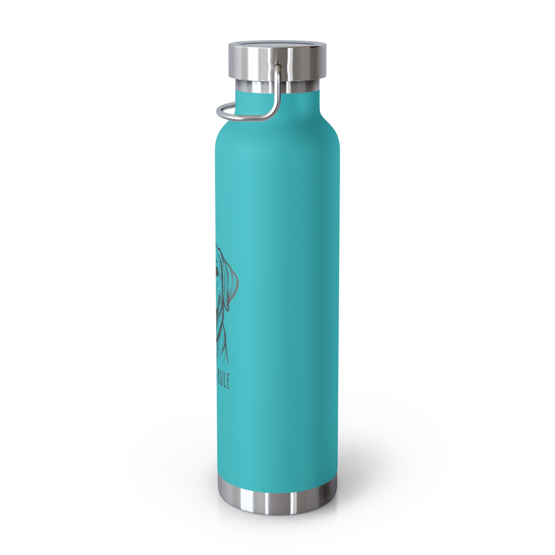Turquoise water bottle with silver lid on a white background