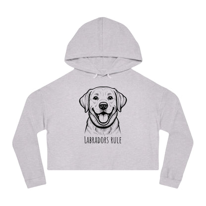 Gray cropped hoodie with a dog illustration and 'Labradors Rule' text on a white background