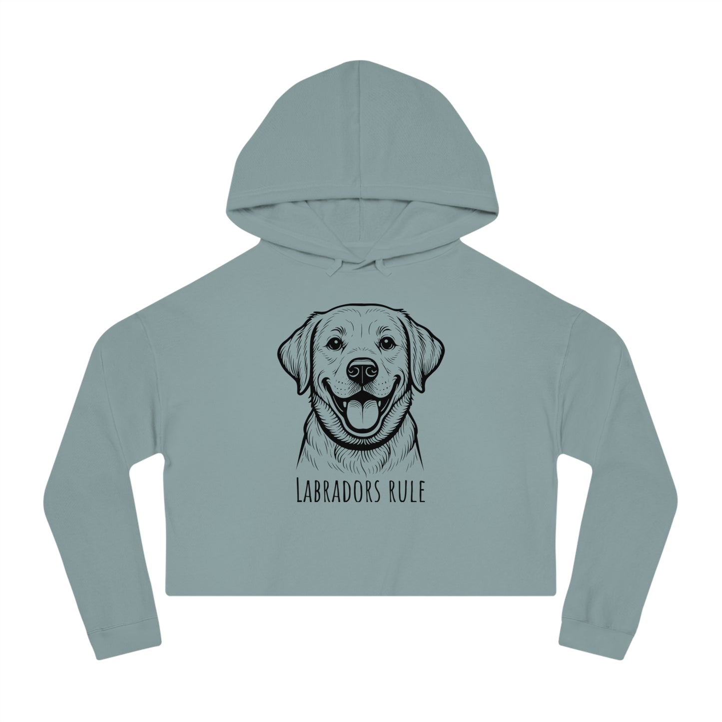 Light blue hoodie with a dog illustration and 'Labradors Rule' text on a white background
