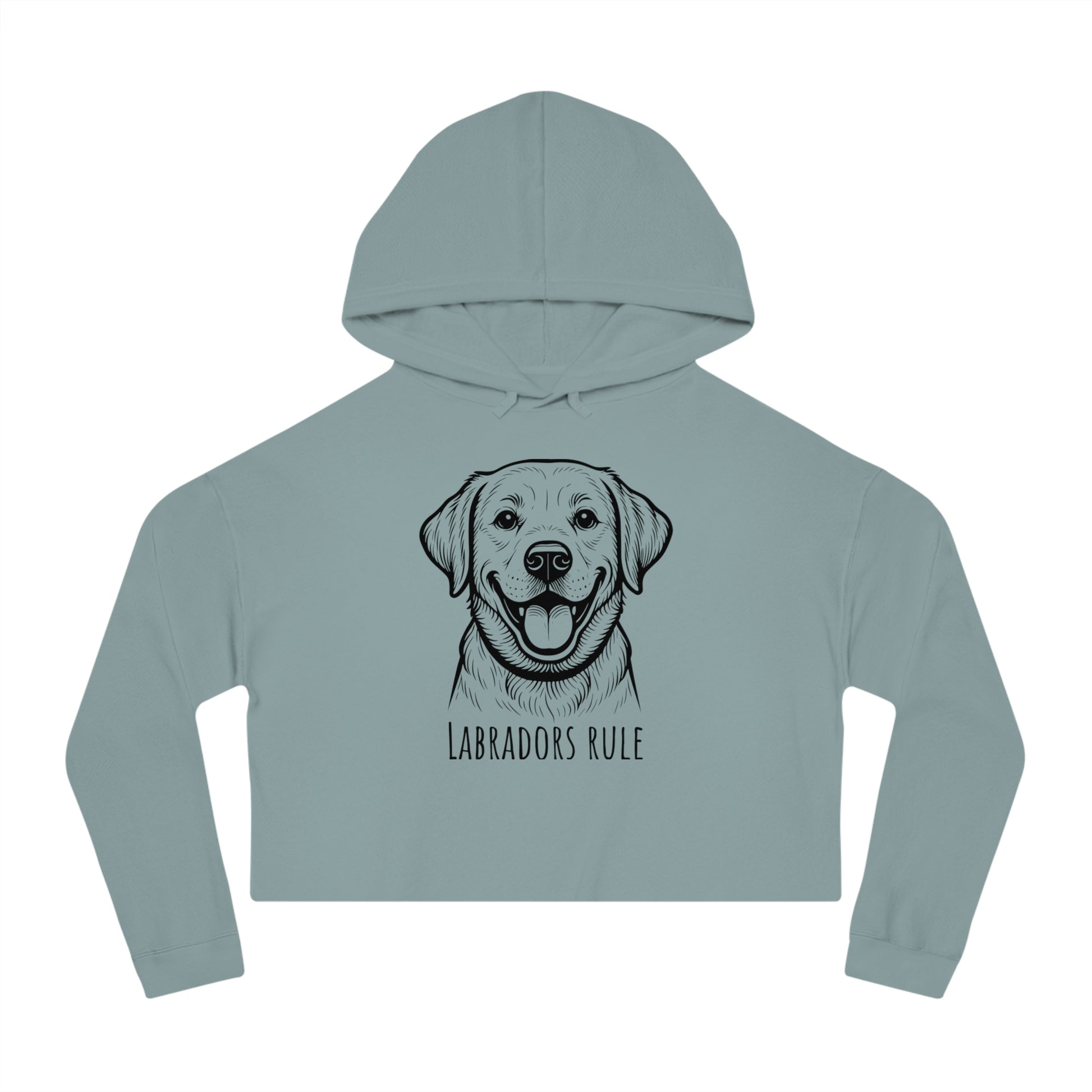 Light blue hoodie with a dog illustration and 'Labradors Rule' text on a white background