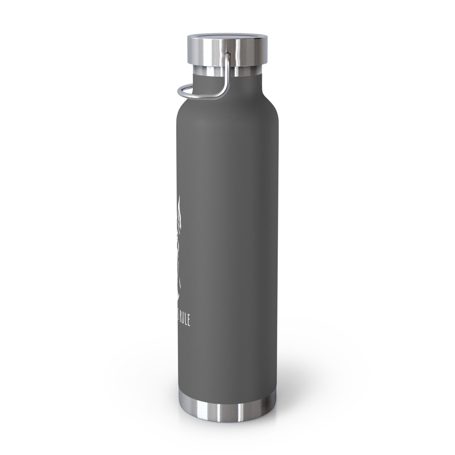 Gray water bottle with silver cap on a white background