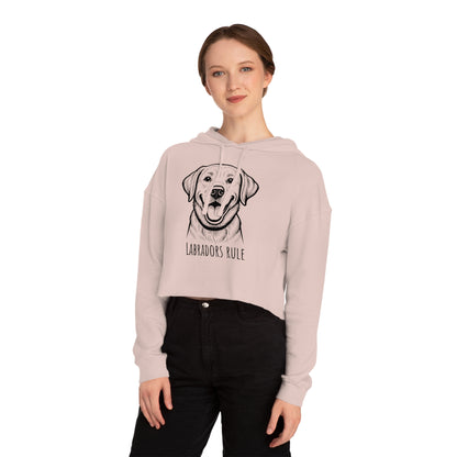 Person wearing a light pink hoodie with a dog graphic and 'Labradors Rule' text on a white background