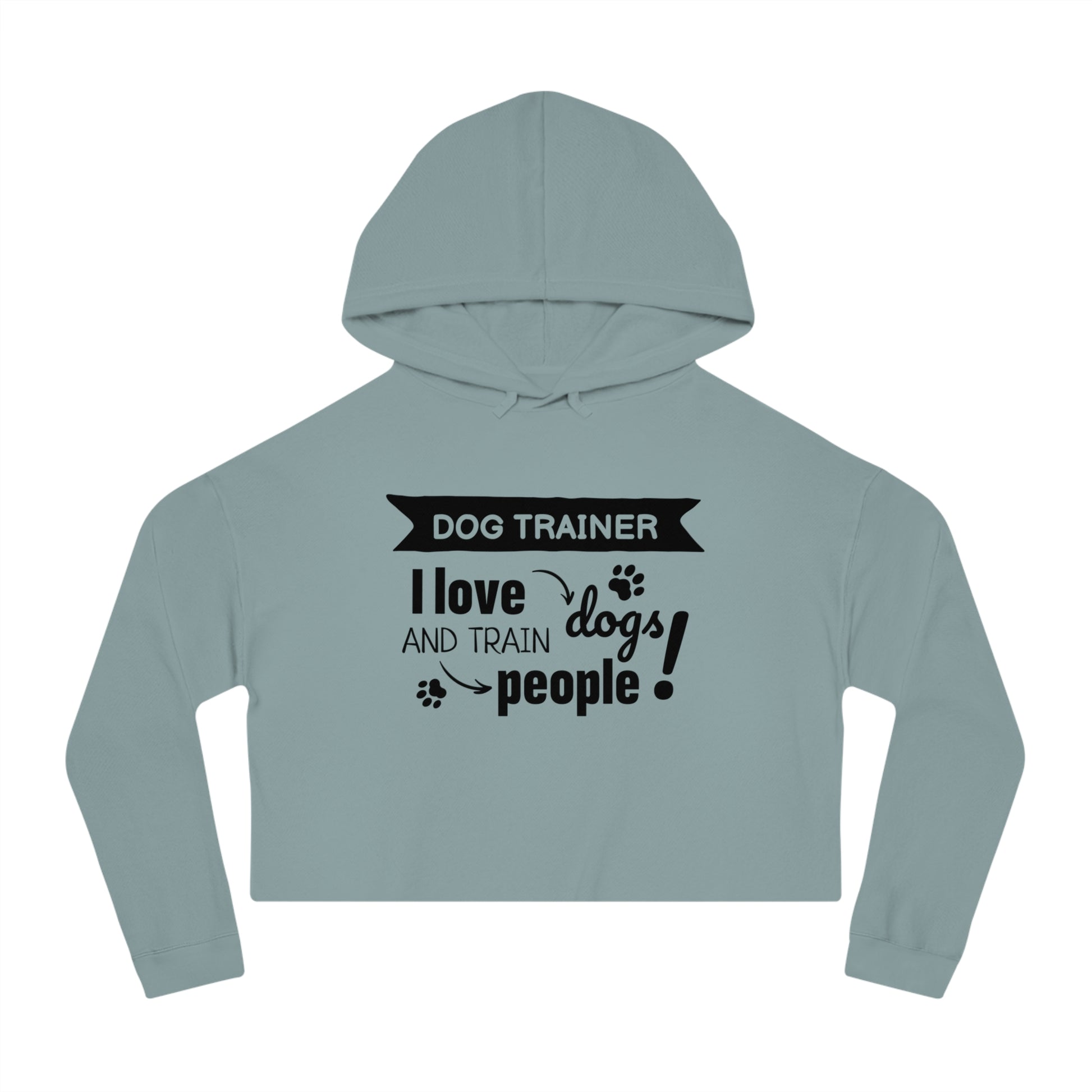 Light blue hoodie with text 'Dog Trainer I love dogs and train people' on a white background