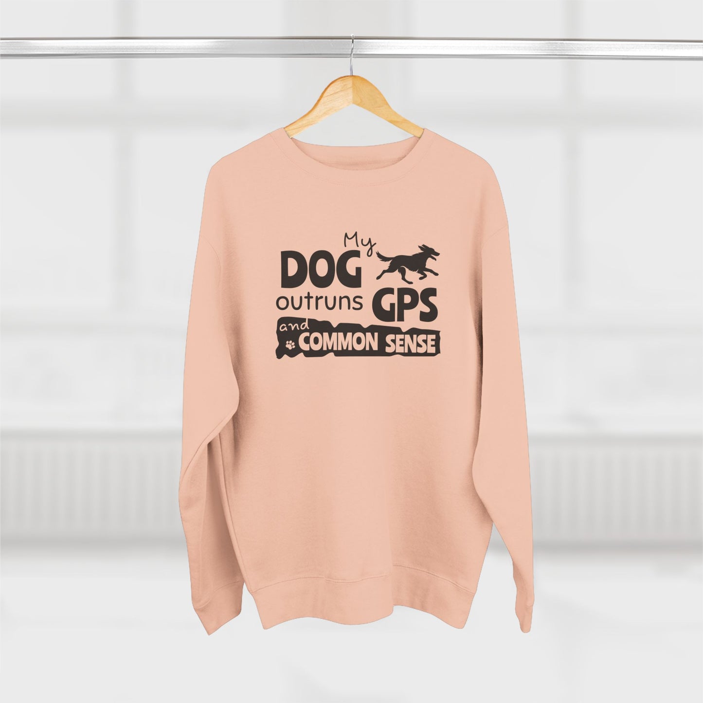 Pink sweatshirt with text on a hanger against a white background