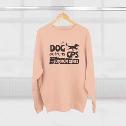 Pink sweatshirt with text on a hanger against a white background