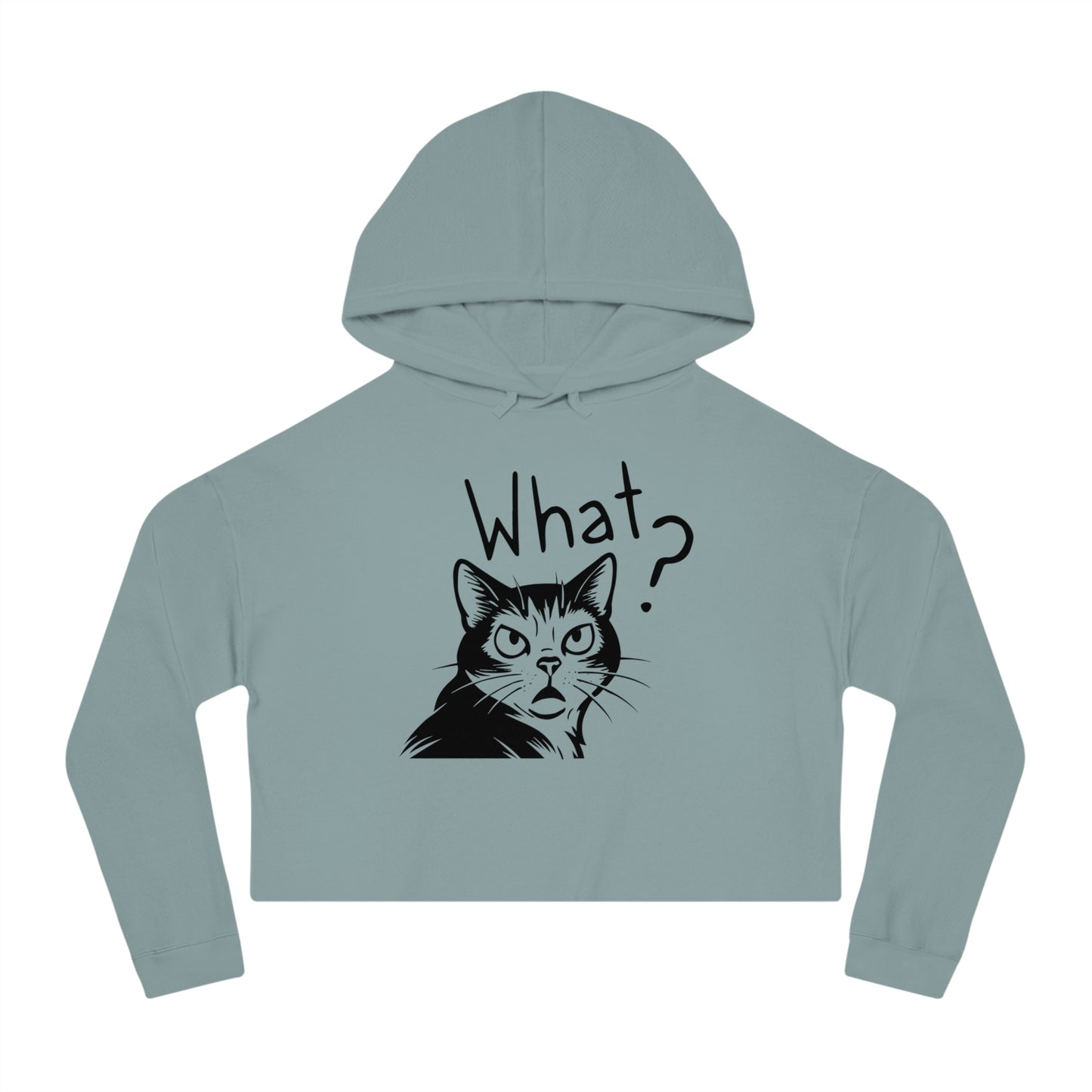 Light blue hoodie with a cat graphic and 'What?' text on a white background