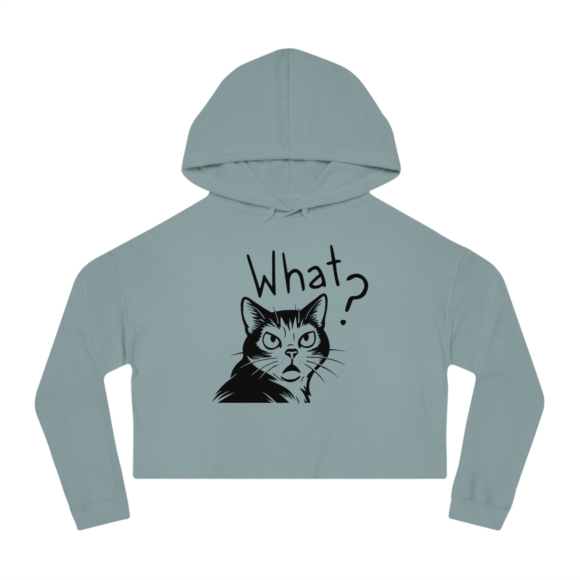 Light blue hoodie with a cat graphic and 'What?' text on a white background