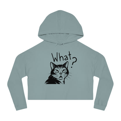 Light blue hoodie with a cat graphic and 'What?' text on a white background