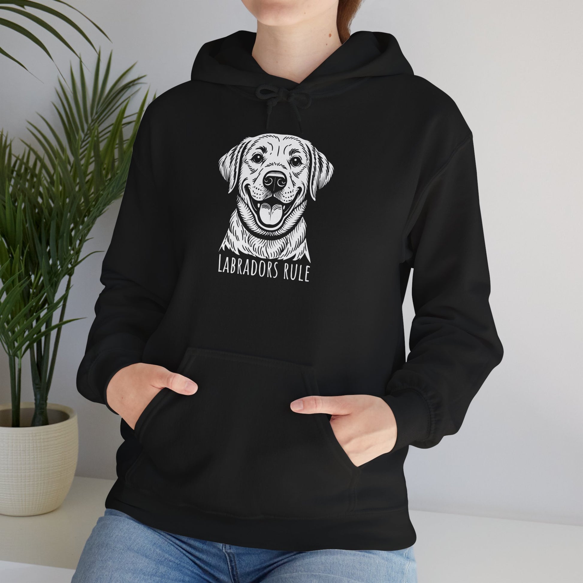 Person wearing a black hoodie with a dog graphic and 'Labradors Rule' text, standing indoors.