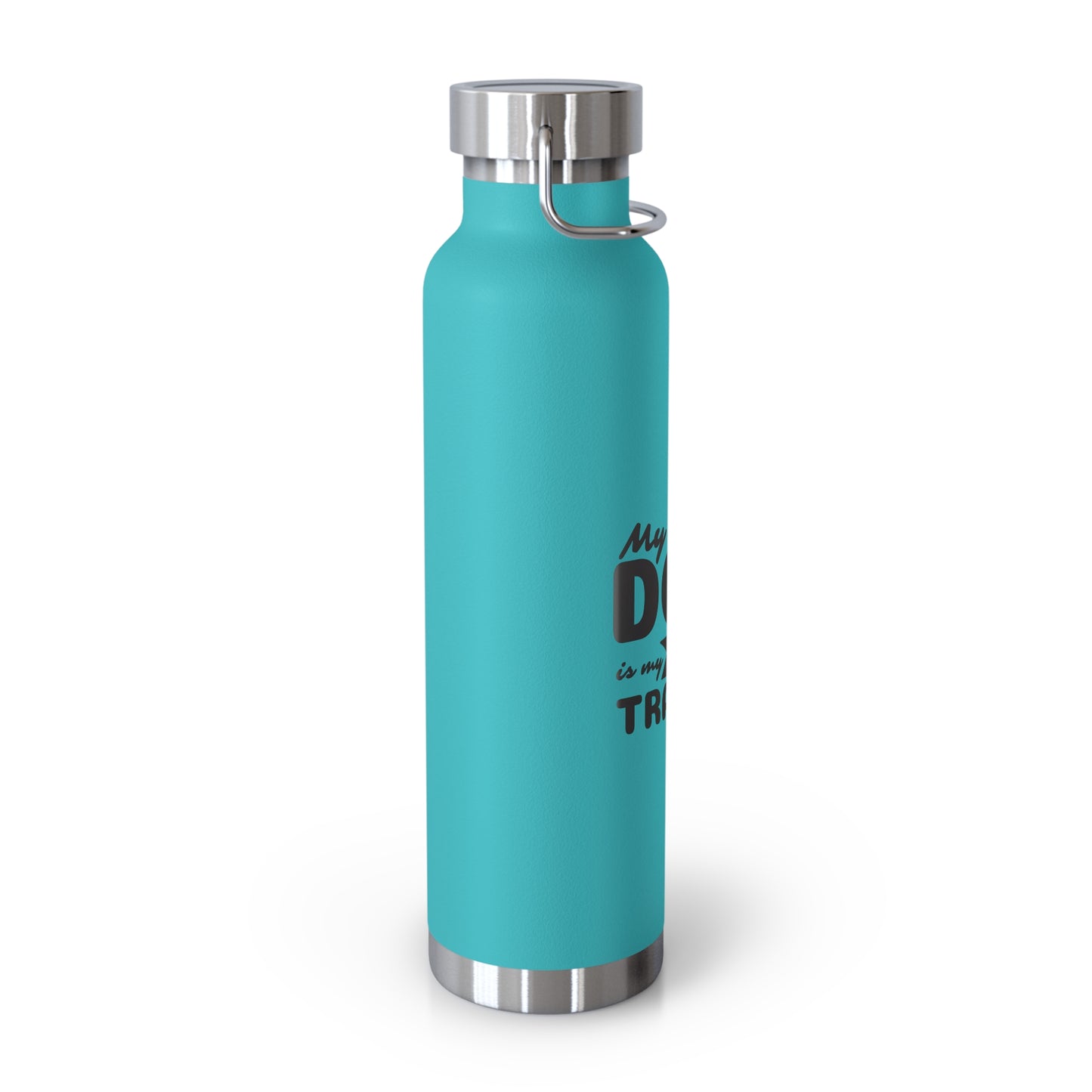Turquoise water bottle with silver lid and handle on a white background
