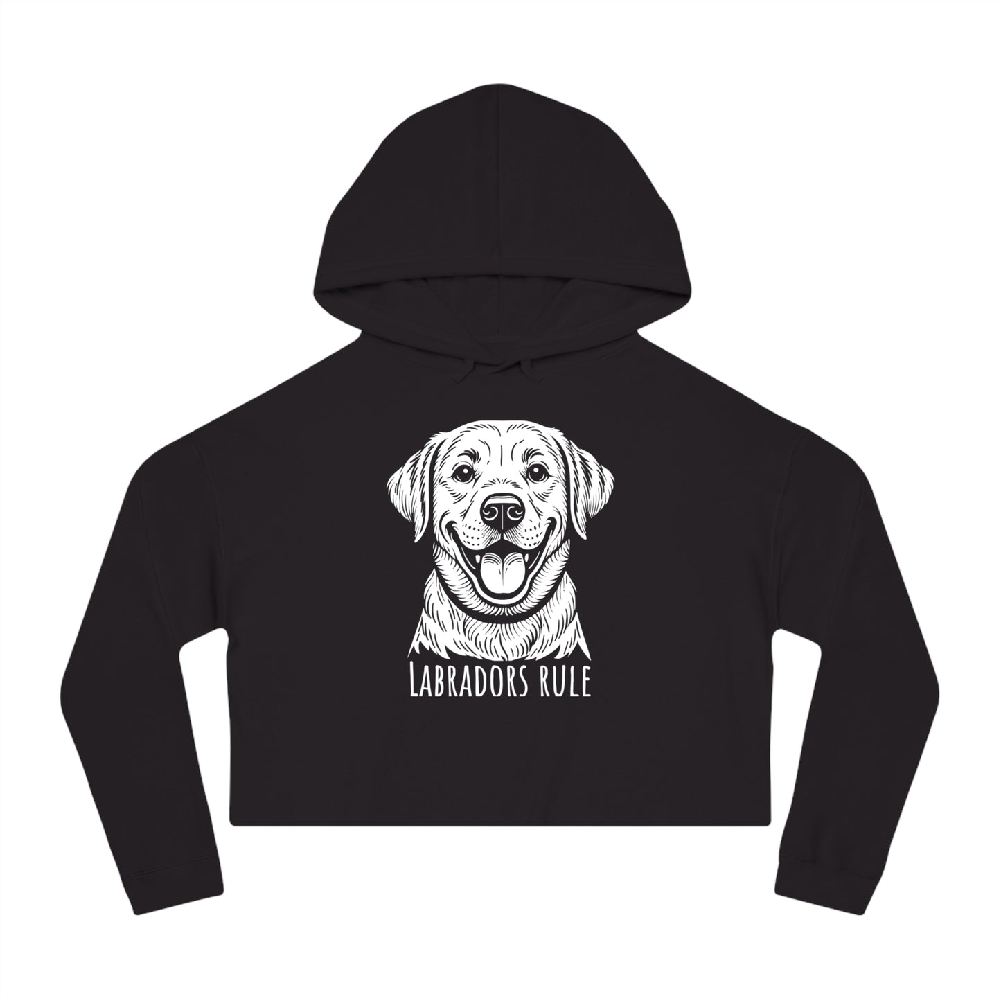 Black hoodie with a white dog graphic and 'Labradors Rule' text on a white background