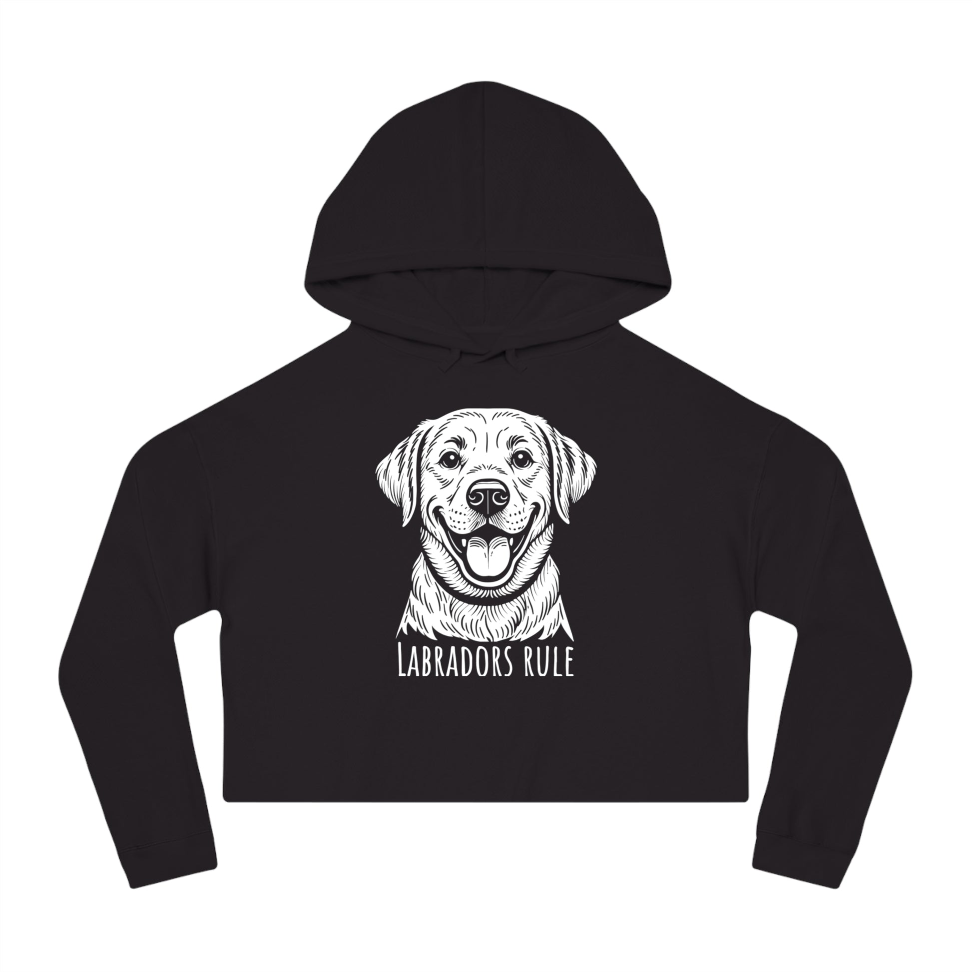 Black hoodie with a white dog graphic and 'Labradors Rule' text on a white background