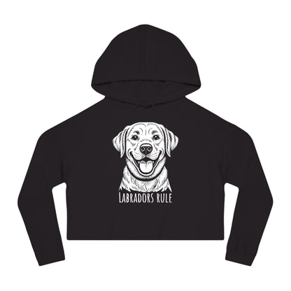 Black hoodie with a white dog graphic and 'Labradors Rule' text on a white background