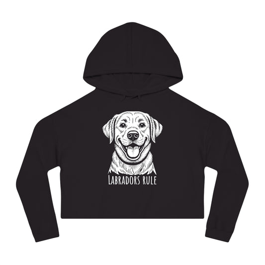 Black hoodie with a white dog graphic and 'Labradors Rule' text on a white background