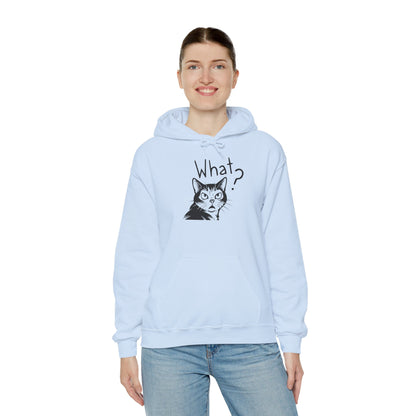Person wearing a light blue hoodie with a cat graphic and 'What?' text on a white background
