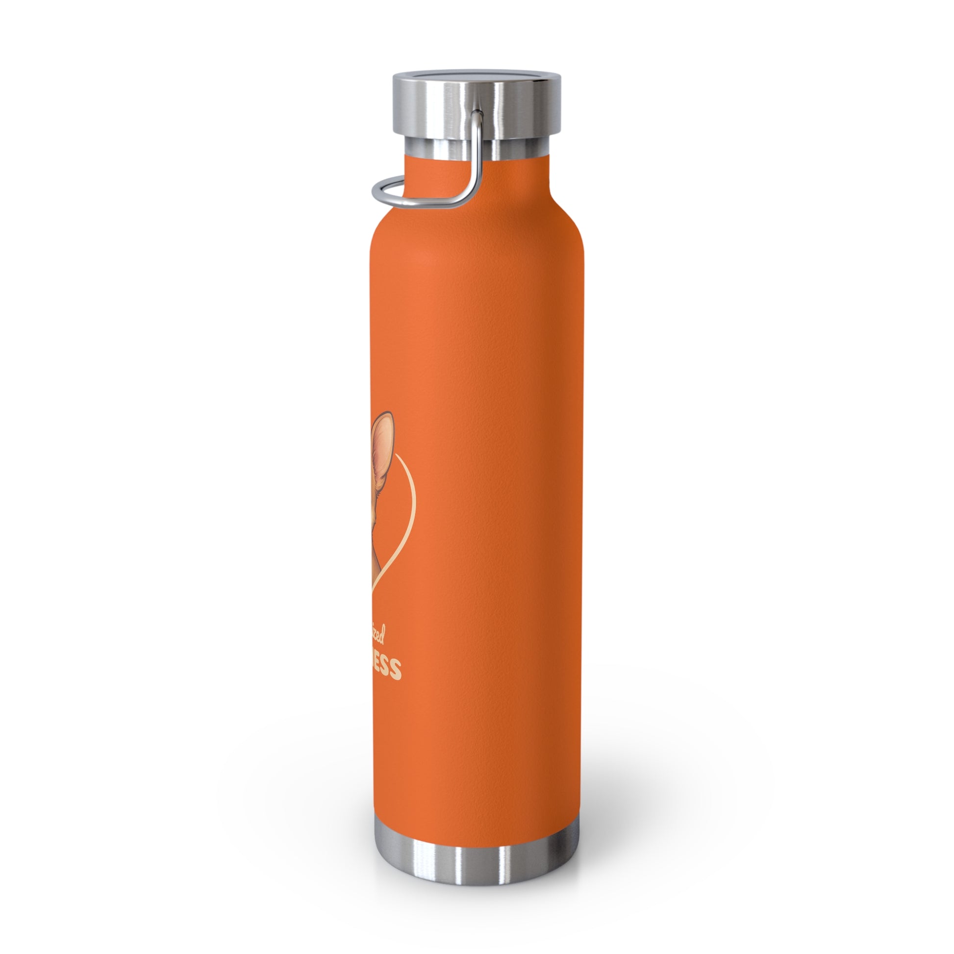 Orange water bottle with a silver cap on a white background