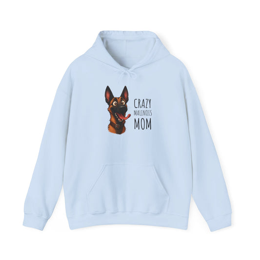 Light blue hoodie with a dog graphic and text on a white background