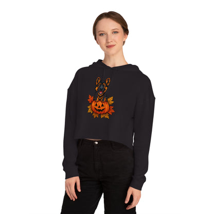 Person wearing a black hoodie with a Halloween-themed design on a white background
