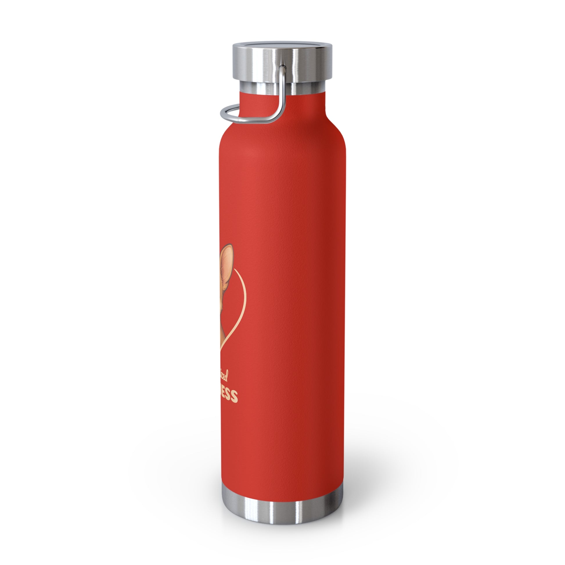 Red water bottle with silver cap and design on a white background