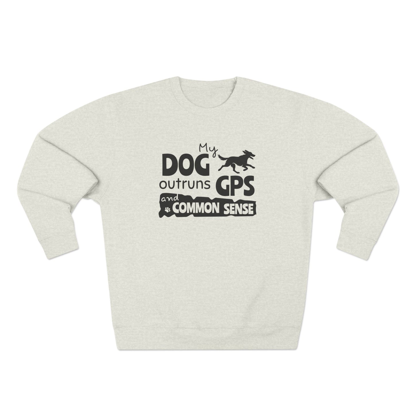 Light gray sweatshirt with text and graphic on a white background