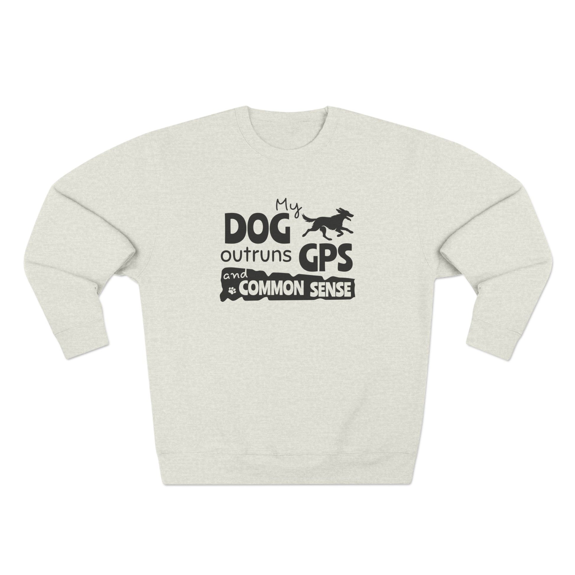 Light gray sweatshirt with text and graphic on a white background