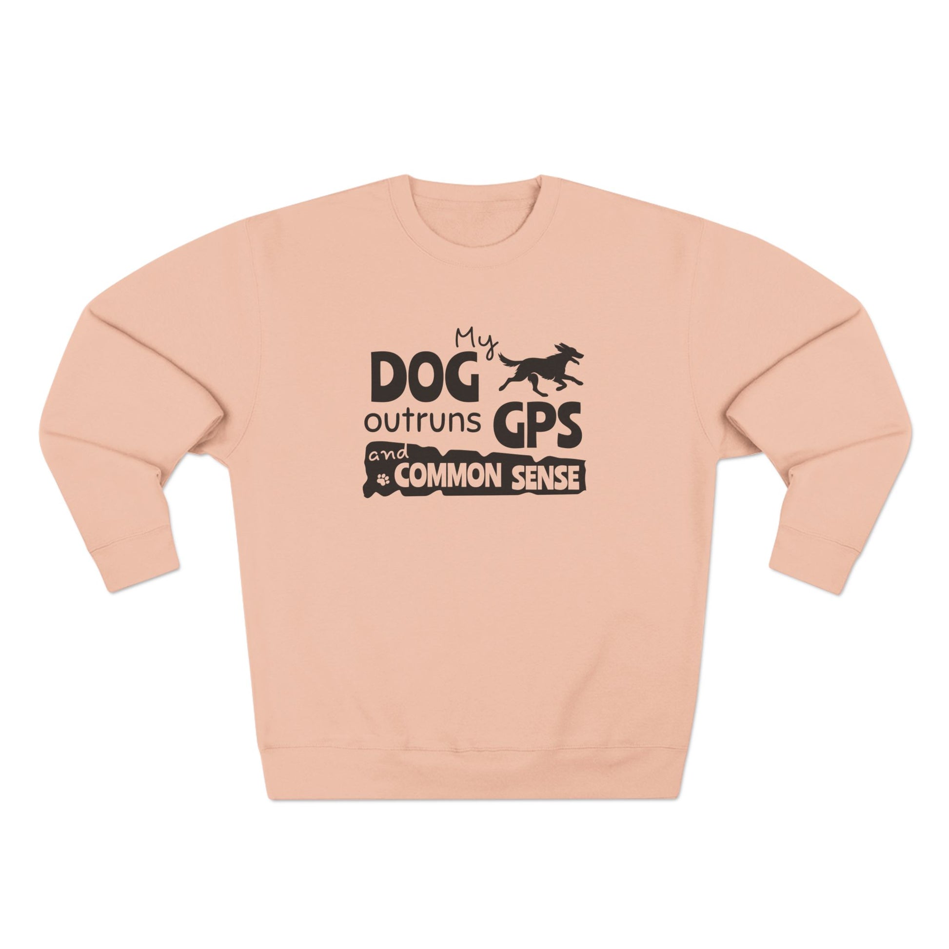 Pink sweatshirt with text and graphic on a white background