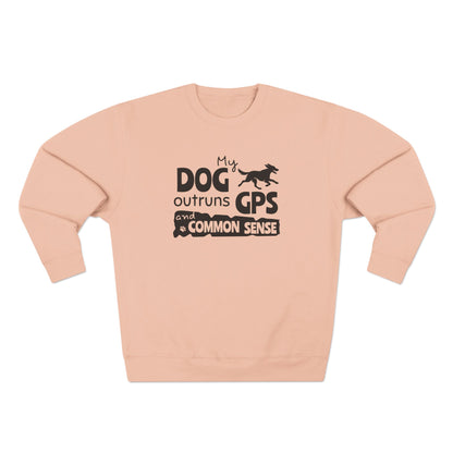 Pink sweatshirt with text and graphic on a white background