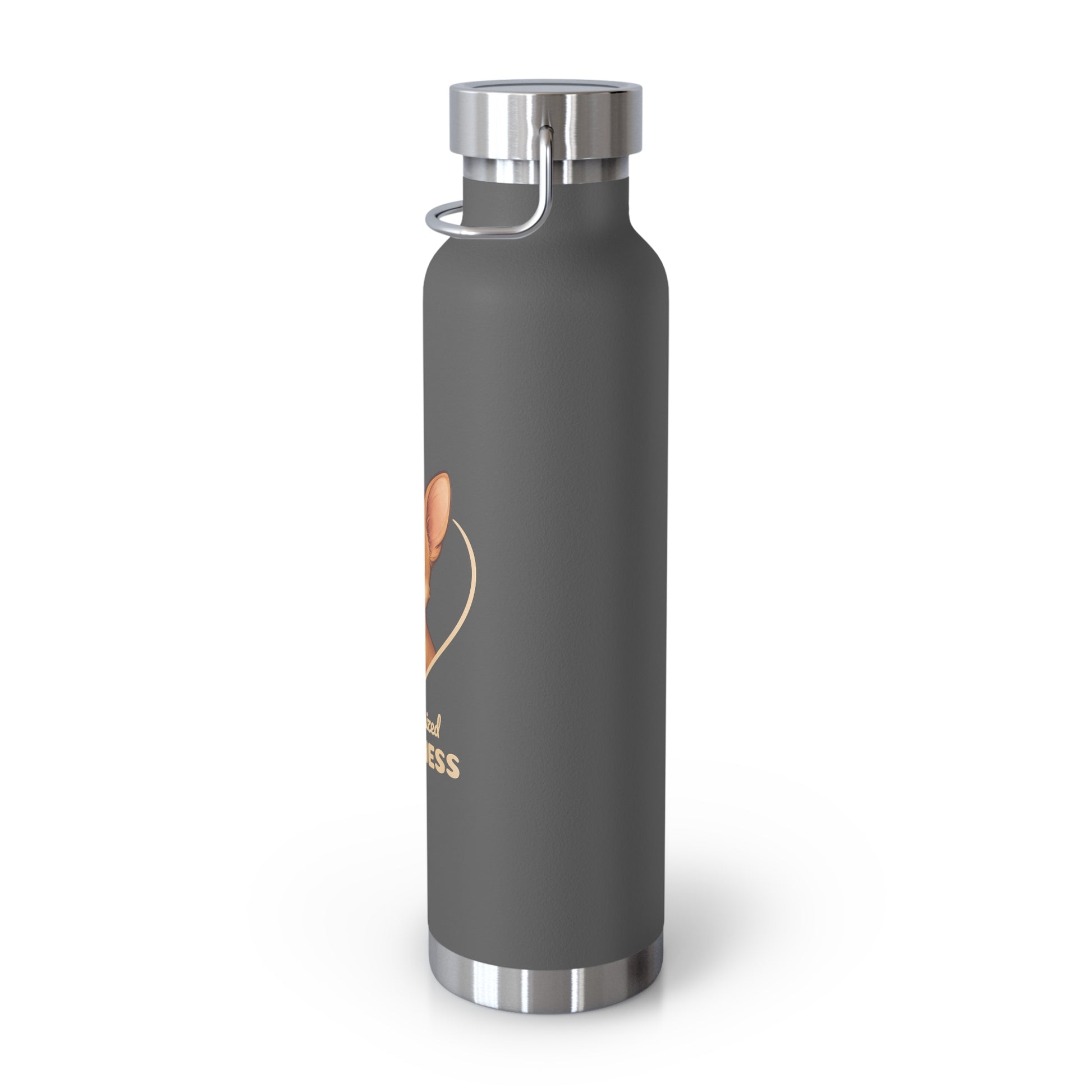 Gray water bottle with a logo and text on a white background