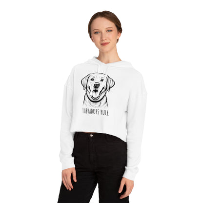 Person wearing a white hoodie with a dog graphic and 'Labradors Rule' text on a white background