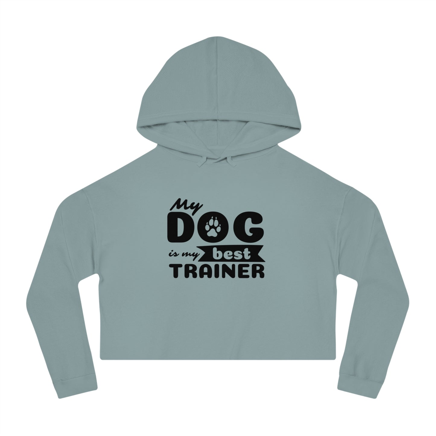 Light blue hoodie with 'My dog is my best trainer' text on a white background