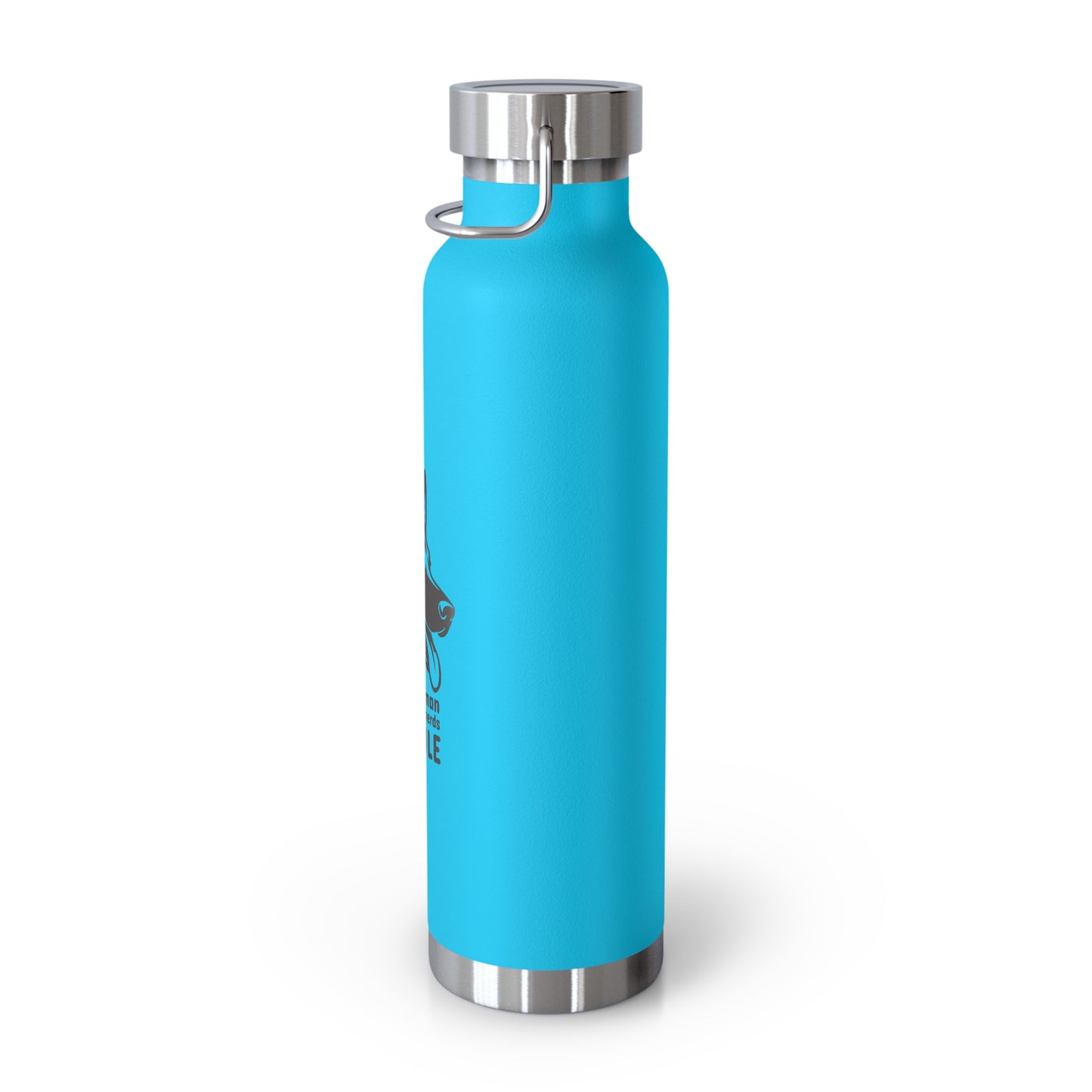 Blue water bottle with silver lid on a white background