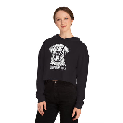 Person wearing a black hoodie with a dog graphic and 'Labradors Rule' text on a white background
